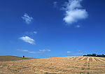 陆地旷野