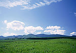 陆地旷野