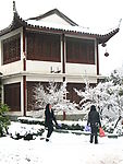 雪中茶楼