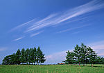 陆地旷野