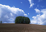 陆地旷野