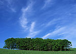 陆地旷野