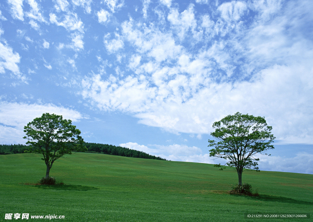 陆地旷野