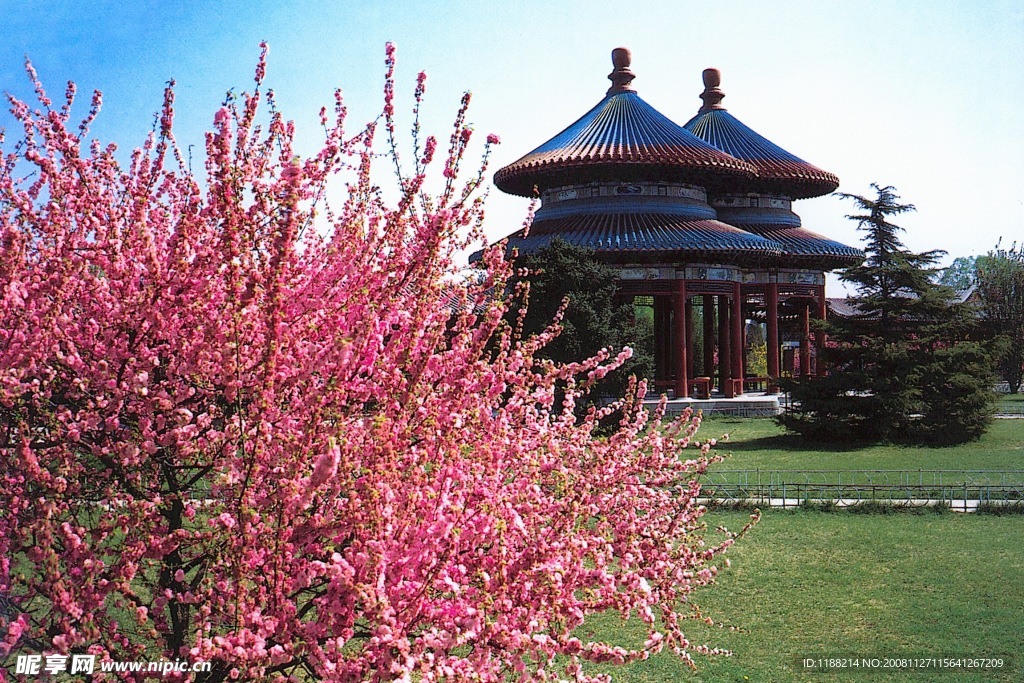 北京天坛