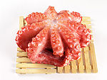 大八爪鱼
