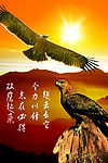 公司海报双鹰