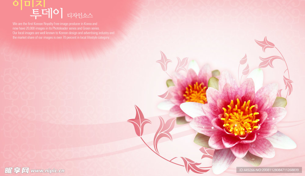 鲜花美图