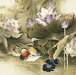 李晓明鸳鸯