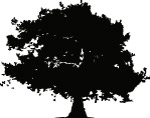 自然生物树