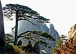 风景