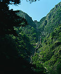 泰山