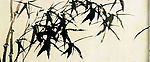 竹