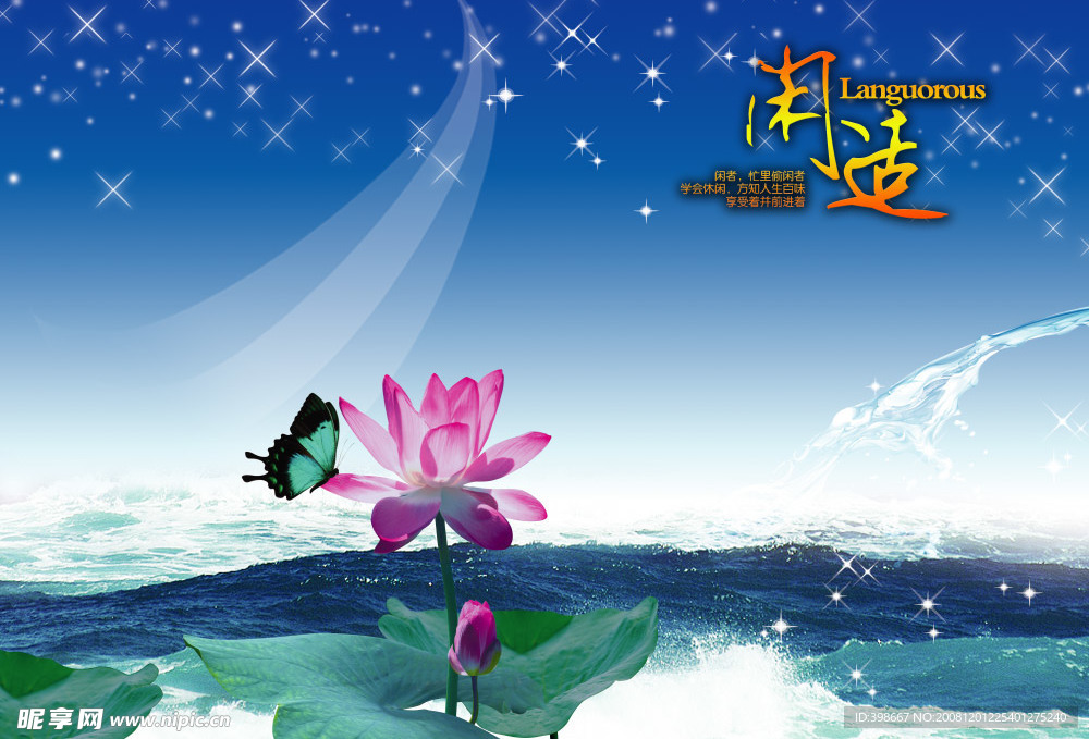 高清梦幻荷花