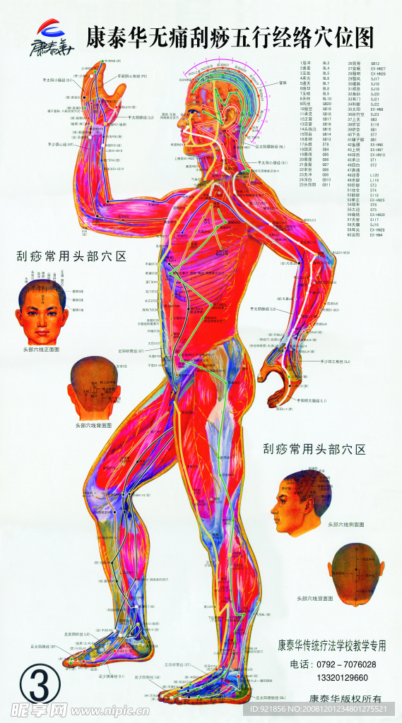 经络穴位图之三