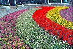 花带