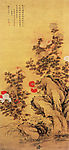 菊石图