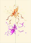 中国花纹