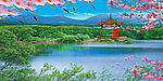 风景画