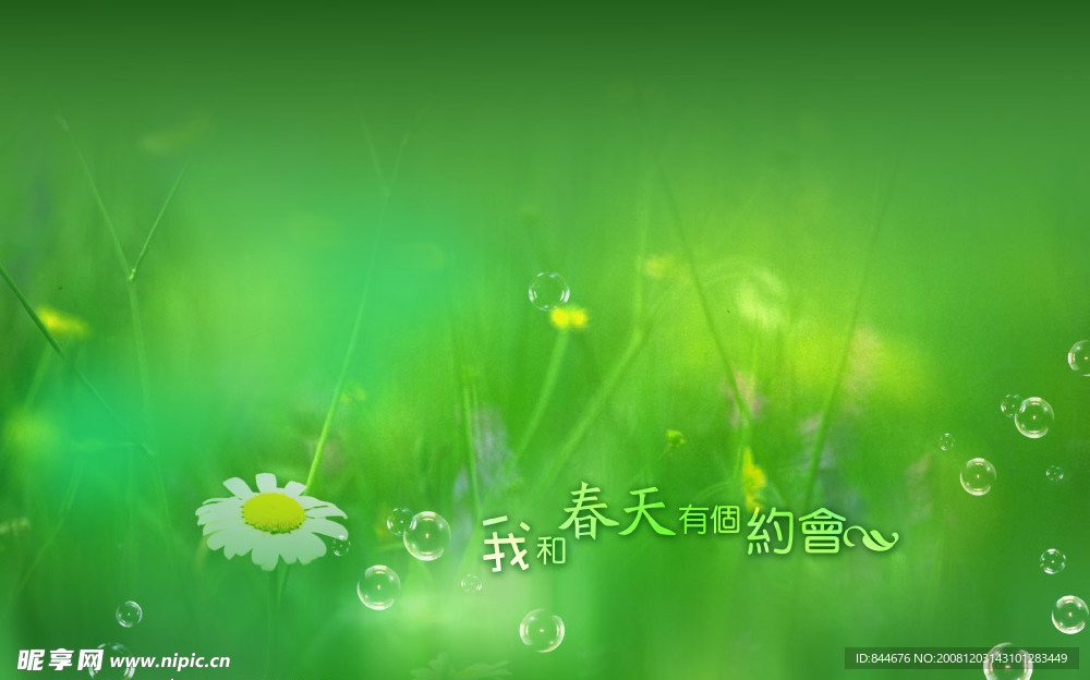 我跟春天有个约会