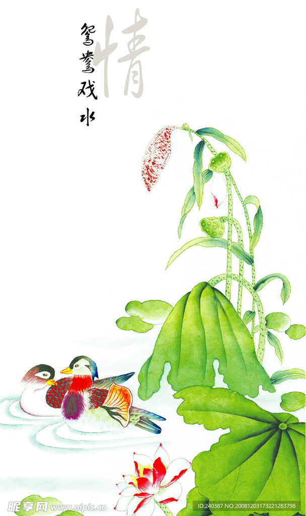 鸳鸯