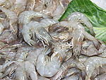 鲜虾