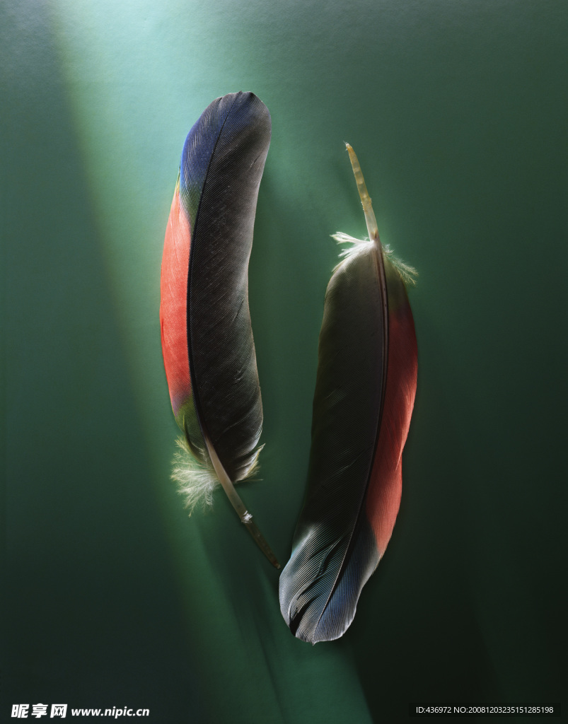 生物标本