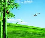 翠竹草地