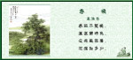 春晓