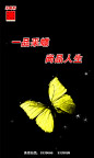 采蝶轩