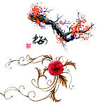 罕见的梅花 极品花纹
