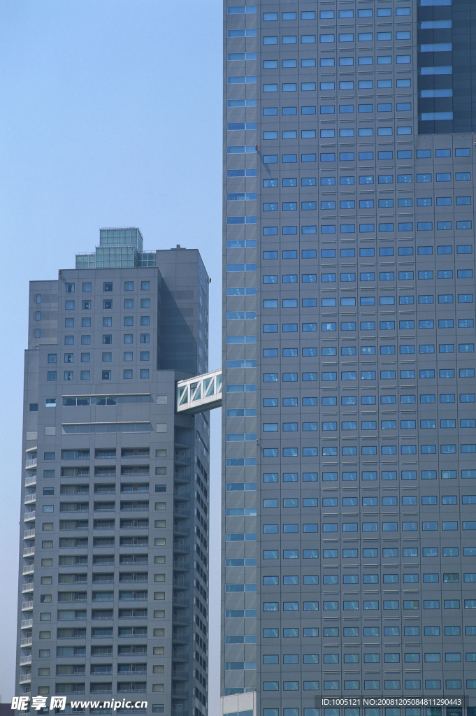 东京纽约
