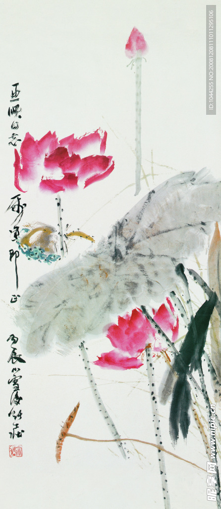 国画荷花