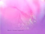 婚纱模板