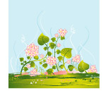 欧式花纹
