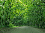 山路