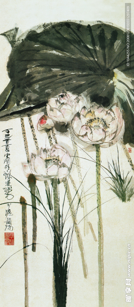 国画荷花