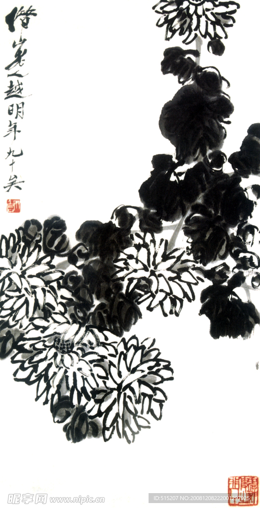 国画\菊花