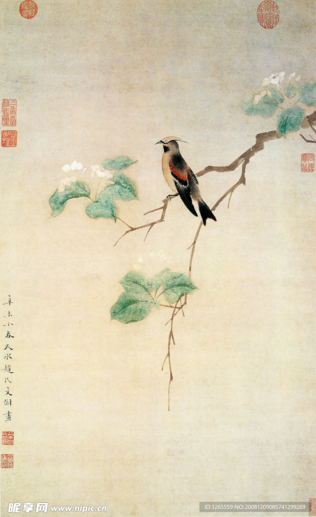 花鸟画