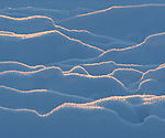 蓝色的雪
