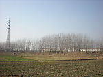 新农村