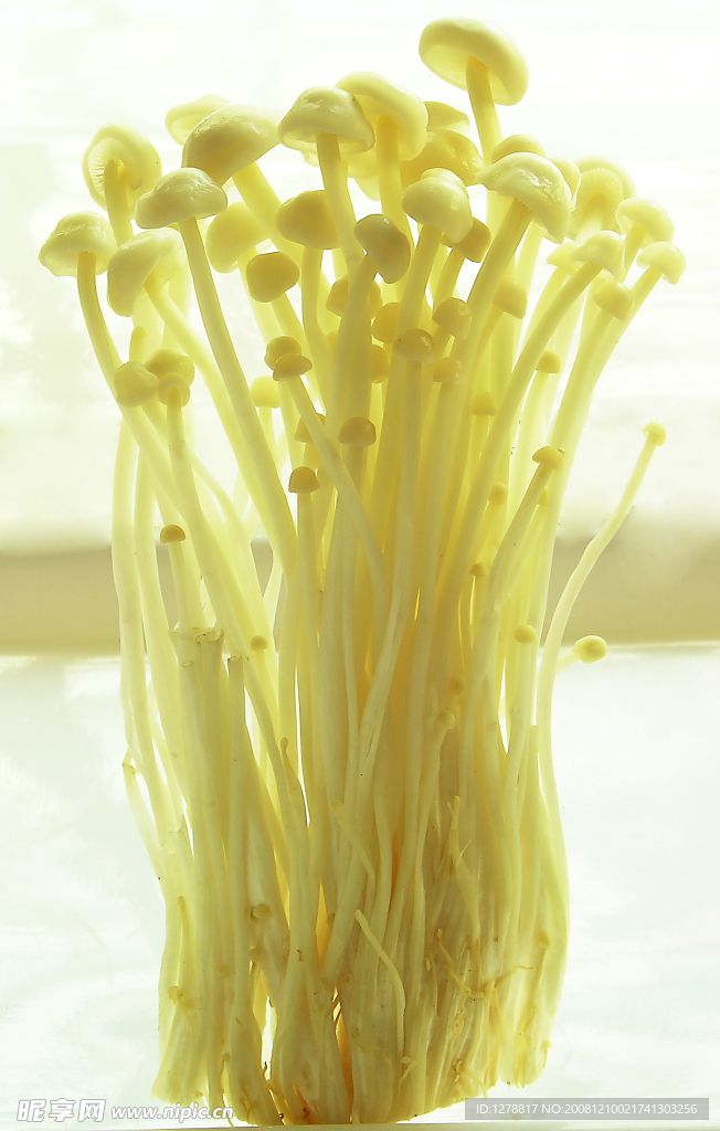 金针菇