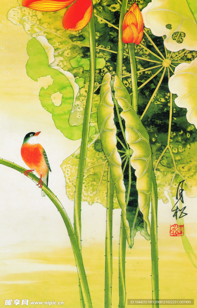 荷花