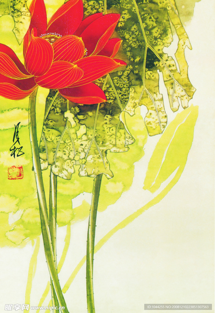 荷花