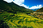 美丽梯田