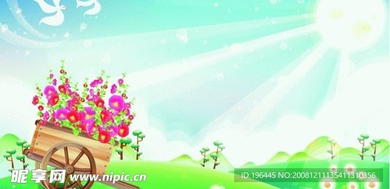阳光下的鲜花