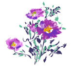 彩绘花卉