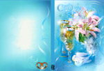 DVD 包装