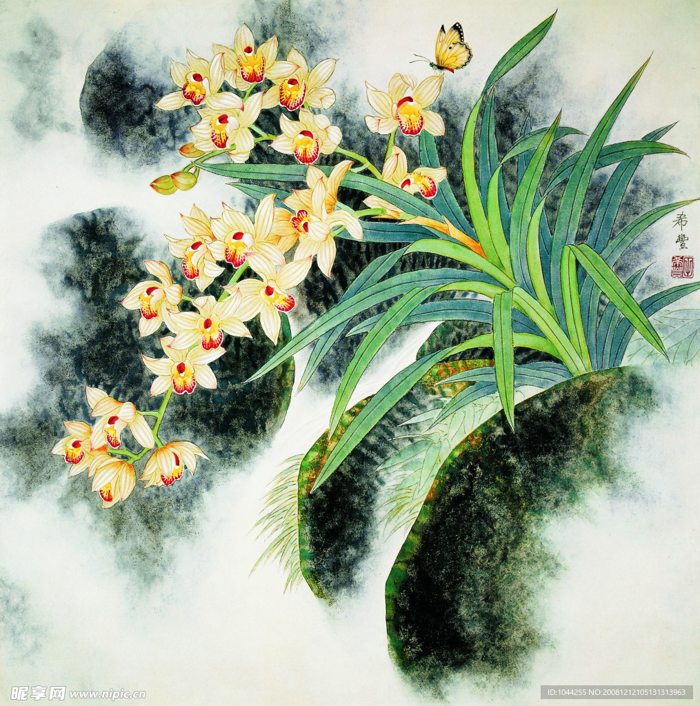 兰花