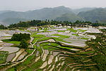 高坡梯田风光