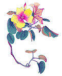 茶花